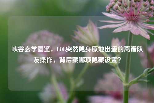 峡谷玄学图鉴，LOL突然隐身原地出道的离谱队友操作，背后藏哪项隐藏设置？