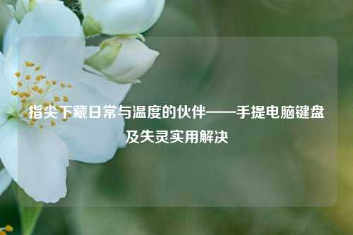 指尖下藏日常与温度的伙伴——手提电脑键盘及失灵实用解决