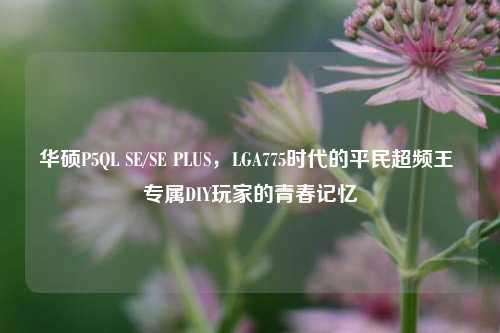 华硕P5QL SE/SE PLUS,LGA775时代的平民超频王 专属DIY玩家的青春记忆