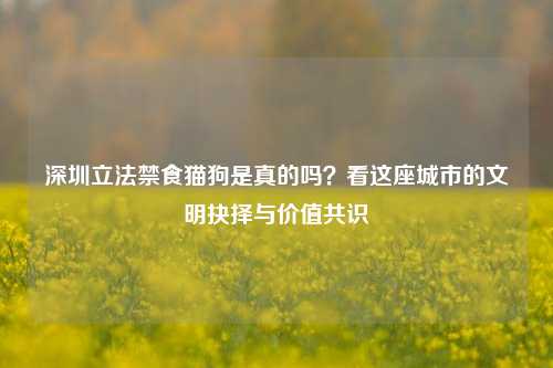 深圳立法禁食猫狗是真的吗?看这座城市的文明抉择与价值共识
