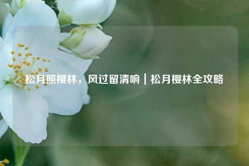 松月照樱林，风过留清响｜松月樱林全攻略