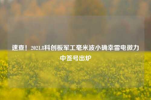 速查！2021.8科创板军工毫米波小确幸雷电微力中签号出炉