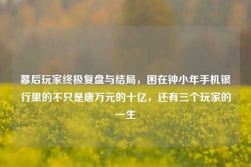 幕后玩家终极复盘与结局,困在钟小年手机银行里的不只是唐万元的十亿,还有三个玩家的一生