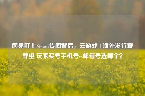 网易盯上Steam传闻背后,云游戏+海外发行藏野望 玩家买号手机号vs邮箱号选哪个?