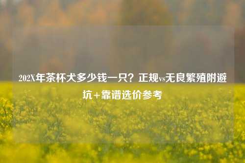 202X年茶杯犬多少钱一只？正规vs无良繁殖附避坑+靠谱选价参考