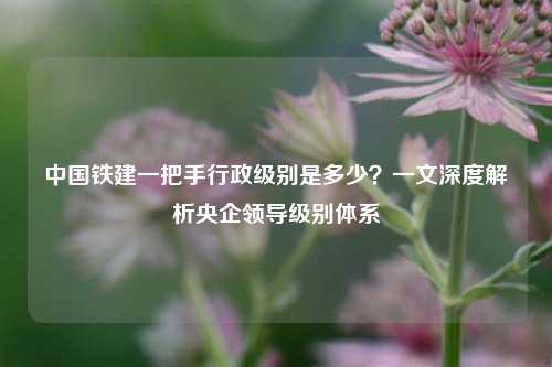 中国铁建一把手行政级别是多少?一文深度解析央企领导级别体系