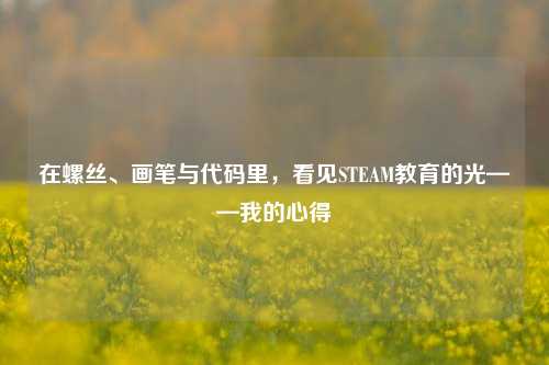 在螺丝、画笔与代码里，看见STEAM教育的光——我的心得