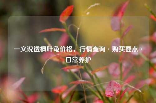 一文说透枫叶龟价格,行情查询·购买要点·日常养护