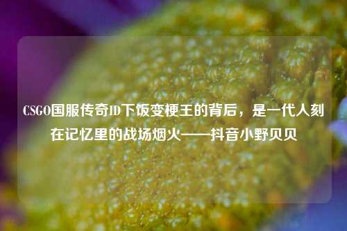 CSGO国服传奇ID下饭变梗王的背后，是一代人刻在记忆里的战场烟火——抖音小野贝贝