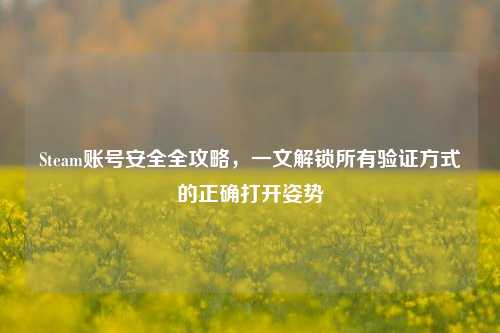 Steam账号安全全攻略,一文解锁所有验证方式的正确打开姿势