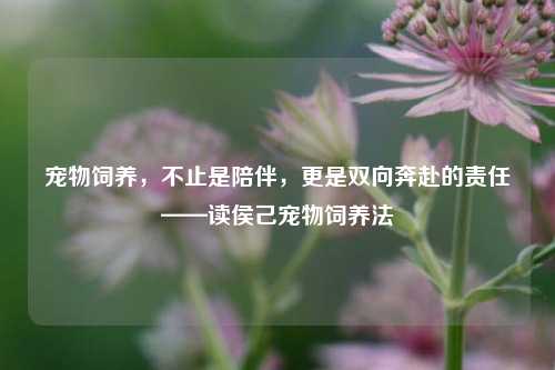 宠物饲养,不止是陪伴,更是双向奔赴的责任——读侯己宠物饲养法
