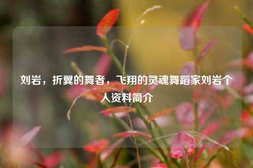 刘岩,折翼的舞者,飞翔的灵魂舞蹈家刘岩个人资料简介