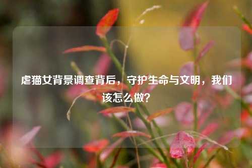 虐猫女背景调查背后,守护生命与文明,我们该怎么做?