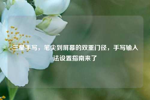 三星手写,笔尖到屏幕的双重门径,手写输入法设置指南来了