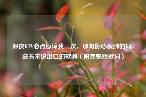 深夜KTV必点原谅我一次,那句撕心裂肺的词,藏着未说出口的软刺(附完整版歌词)