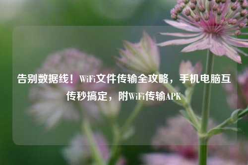 告别数据线!WiFi文件传输全攻略,手机电脑互传秒搞定,附WiFi传输APK