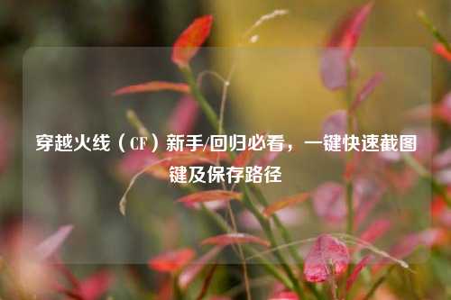 穿越火线（CF）新手/回归必看，一键快速截图键及保存路径