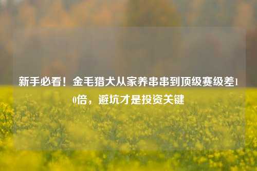 新手必看！金毛猎犬从家养串串到顶级赛级差10倍，避坑才是投资关键