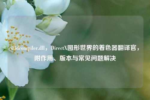 d3dcompiler.dll，DirectX图形世界的着色器翻译官，附作用、版本与常见问题解决