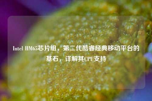 Intel HM65芯片组,第二代酷睿经典移动平台的基石,详解其CPU支持