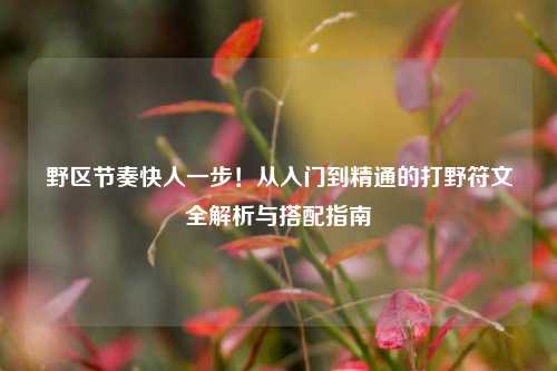 野区节奏快人一步！从入门到精通的打野符文全解析与搭配指南