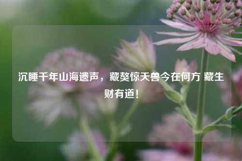 沉睡千年山海遗声,藏獒惊天兽今在何方 藏生财有道!