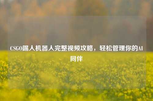 CSGO踢人机器人完整视频攻略,轻松管理你的AI同伴
