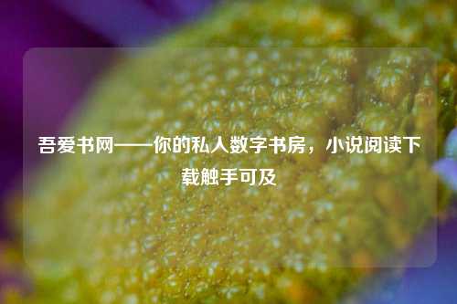 吾爱书网——你的私人数字书房,小说阅读下载触手可及