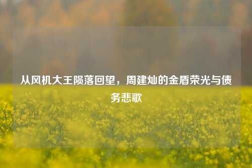 从风机大王陨落回望,周建灿的金盾荣光与债务悲歌