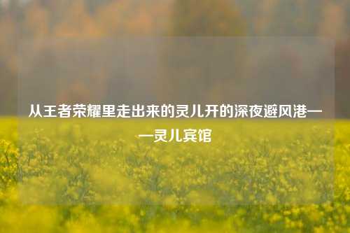 从王者荣耀里走出来的灵儿开的深夜避风港——灵儿宾馆