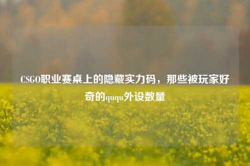 CSGO职业赛桌上的隐藏实力码,那些被玩家好奇的ququ外设数量