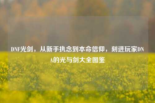 DNF光剑,从新手执念到本命信仰,刻进玩家DNA的光与剑大全图鉴