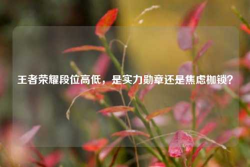 王者荣耀段位高低,是实力勋章还是焦虑枷锁?