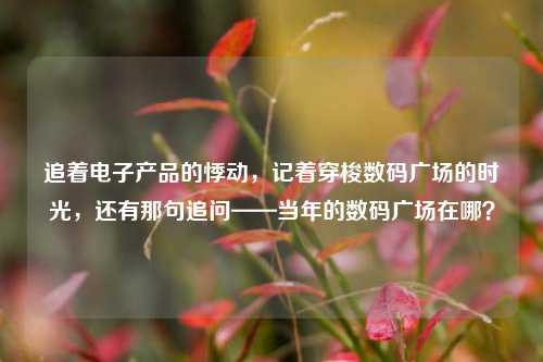 追着电子产品的悸动,记着穿梭数码广场的时光,还有那句追问——当年的数码广场在哪?