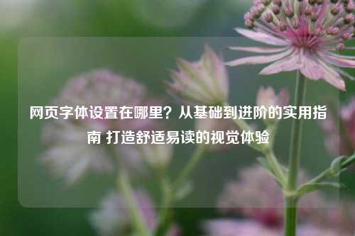 网页字体设置在哪里?从基础到进阶的实用指南 打造舒适易读的视觉体验