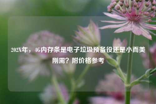 202X年,4G内存条是电子垃圾预备役还是小而美刚需?附价格参考