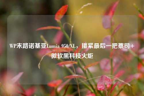 WP末路诺基亚Lumia 950/XL,攥紧最后一把蔡司+微软黑科技火炬