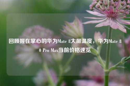 回顾握在掌心的华为Mate 8大屏温度,华为Mate 80 Pro Max当前价格速览