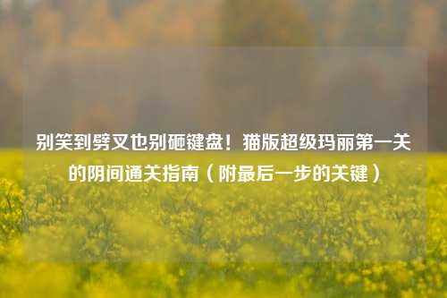 别笑到劈叉也别砸键盘！猫版超级玛丽第一关的阴间通关指南（附最后一步的关键）