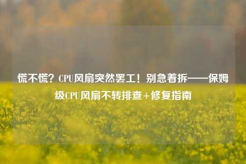 慌不慌?CPU风扇突然罢工!别急着拆——保姆级CPU风扇不转排查+修复指南