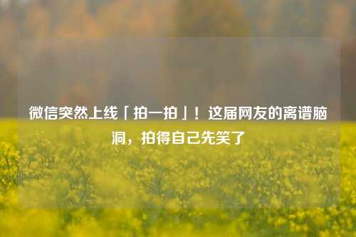 微信突然上线「拍一拍」!这届网友的离谱脑洞,拍得自己先笑了