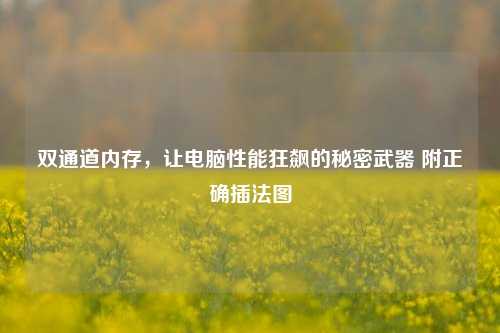 双通道内存,让电脑性能狂飙的秘密武器 附正确插法图