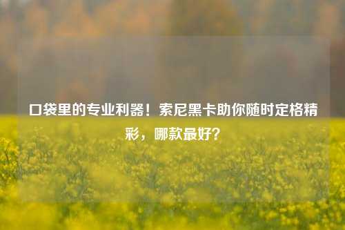 口袋里的专业利器!索尼黑卡助你随时定格精彩,哪款最好?