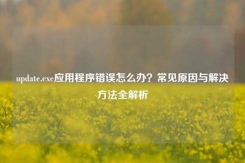 update.exe应用程序错误怎么办？常见原因与解决方法全解析