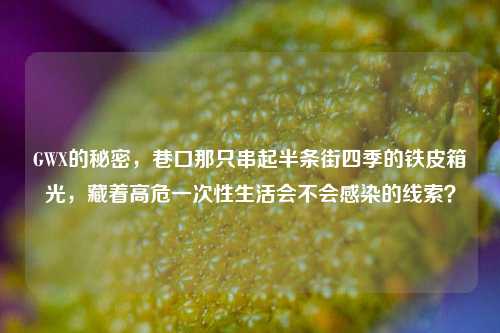 GWX的秘密,巷口那只串起半条街四季的铁皮箱光,藏着高危一次性生活会不会感染的线索?