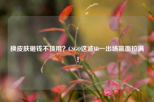 换皮肤砸钱不顶用?CSGO这波ID一出场赢面拉满!