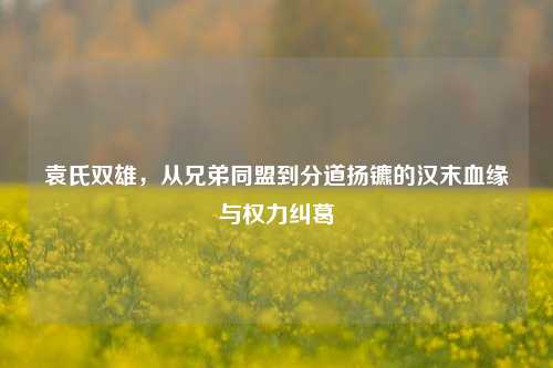 袁氏双雄,从兄弟同盟到分道扬镳的汉末血缘与权力纠葛
