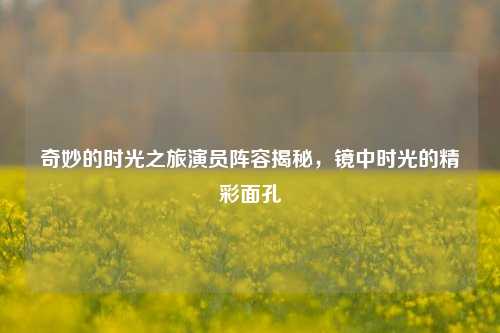 奇妙的时光之旅演员阵容揭秘,镜中时光的精彩面孔