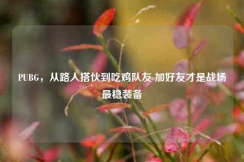 PUBG，从路人搭伙到吃鸡队友 加好友才是战场最稳装备