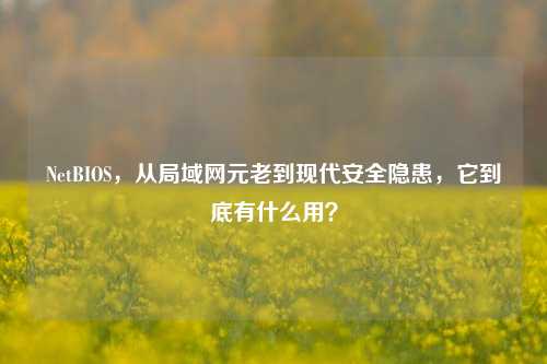 NetBIOS,从局域网元老到现代安全隐患,它到底有什么用?